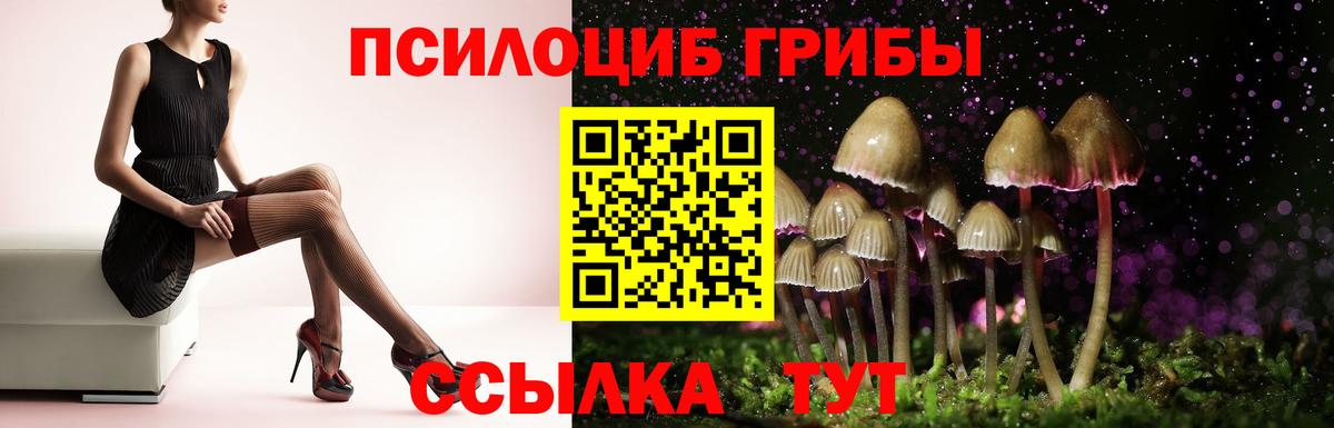 Прокопьевск  Псилоцибиновые грибы Psilocybine cubensis  Галлюциногенные грибы GOLDEN TEACHER  Вход с VPN 