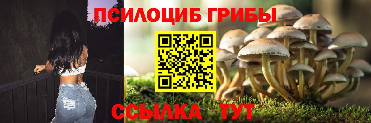 Галлюциногенные грибы Cubensis Прокопьевск